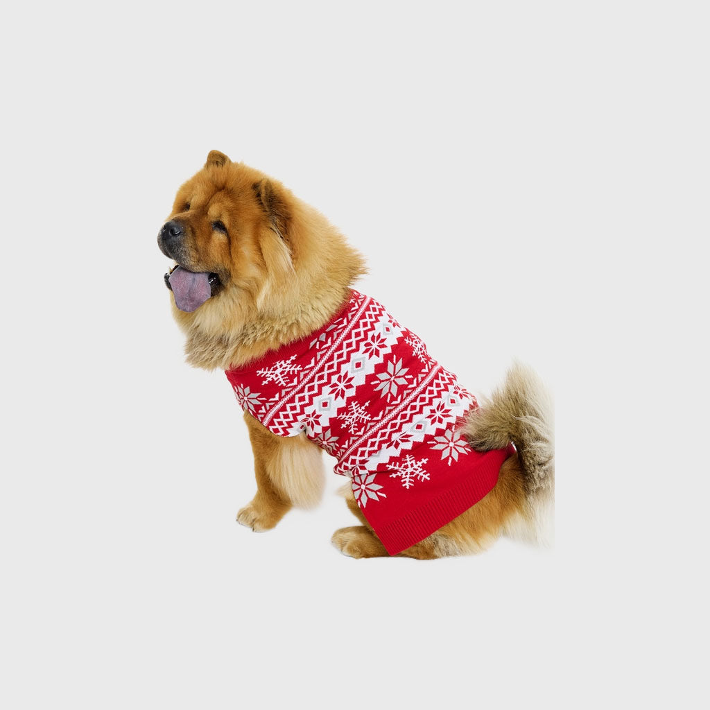 Cute Hunde-Weihnachtspullover